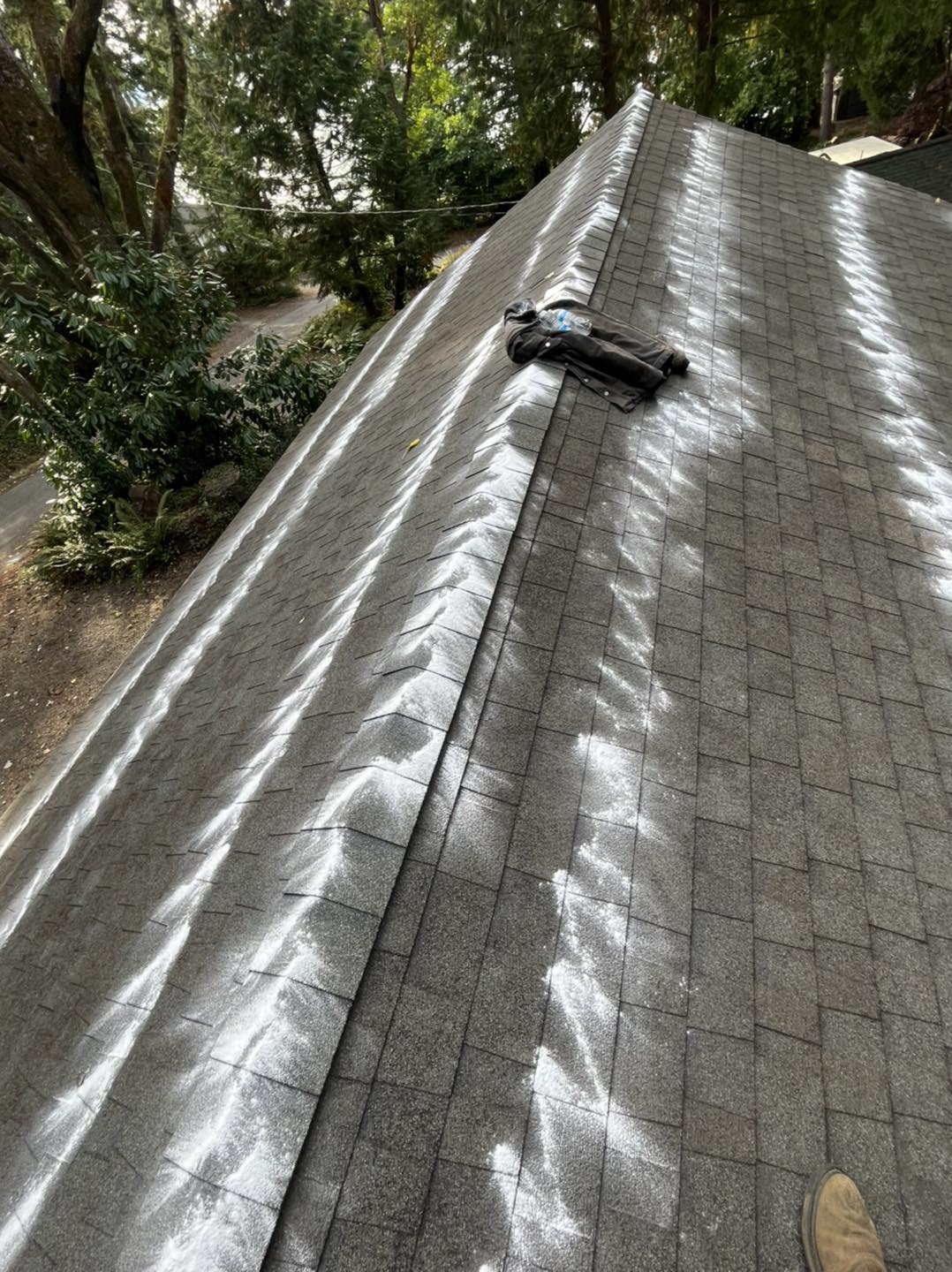 Vashon Island roof moss removal after