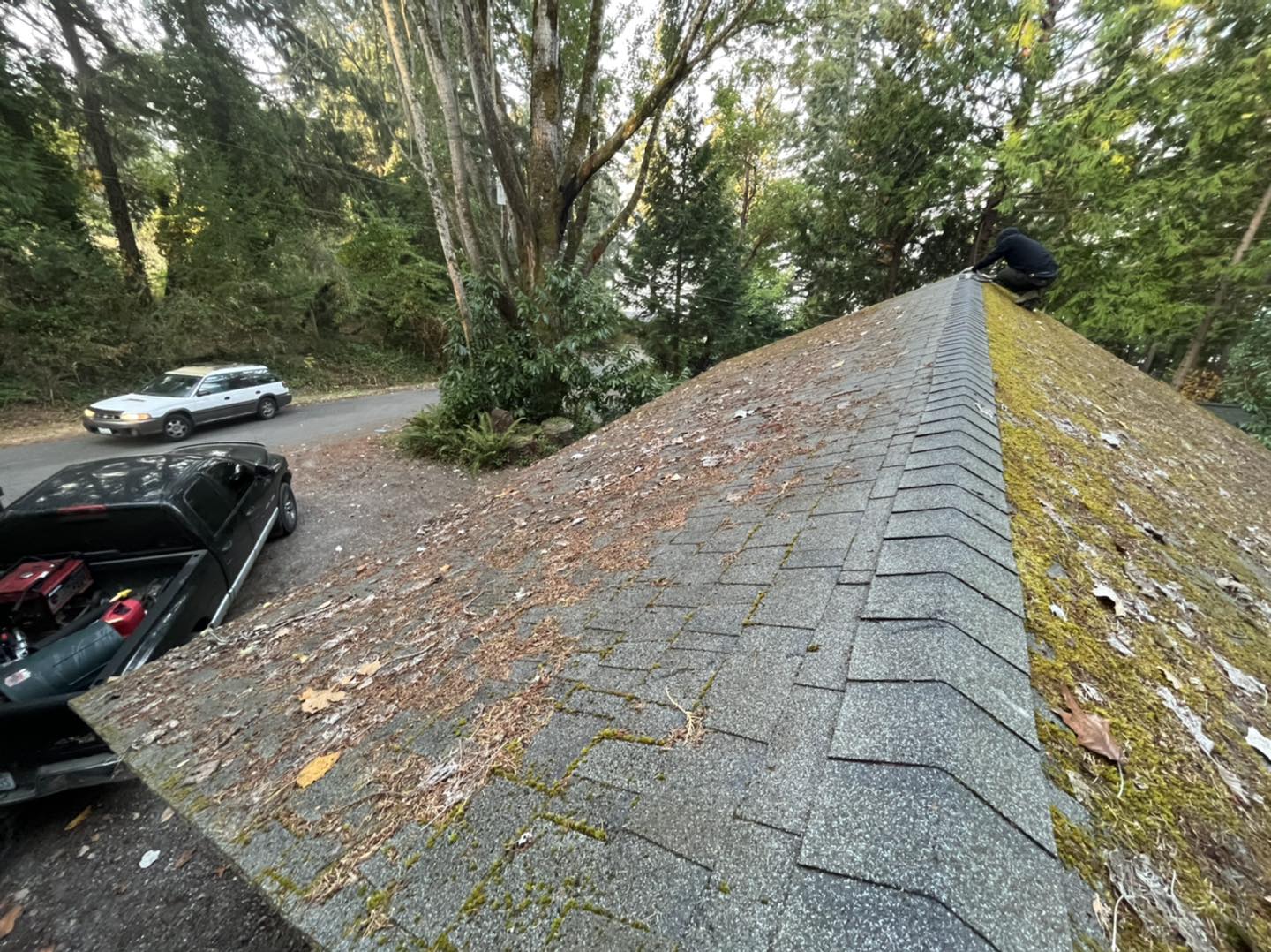 Vashon Island roof moss removal before