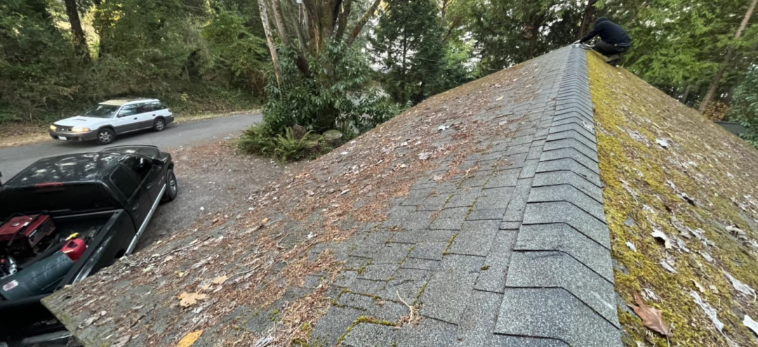 Vashon Island roof moss removal - before we finished
