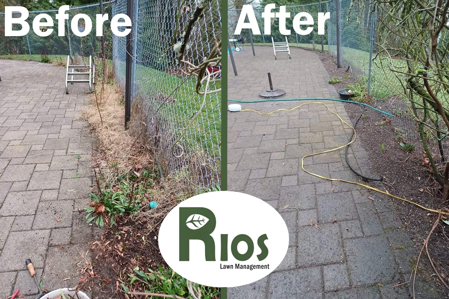 Vashon Landscaping - Cleaning fence area - before and after